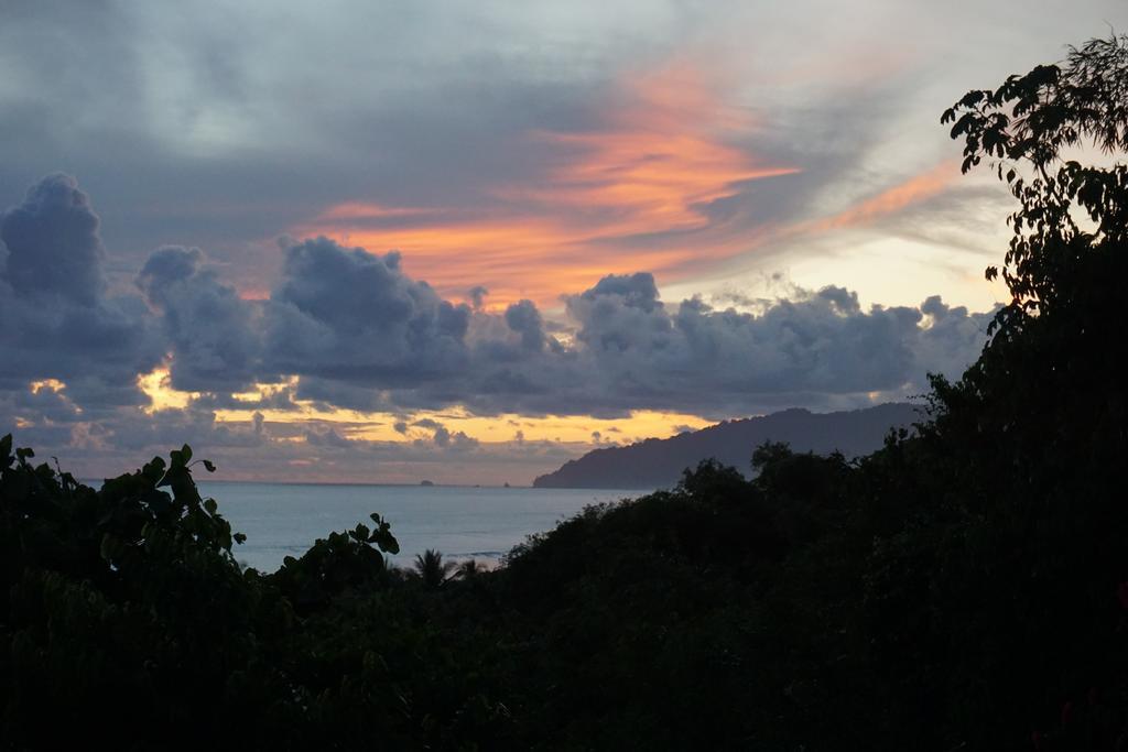 Lookout Inn Beach Rain-Forest Eco Lodge Carate ภายนอก รูปภาพ