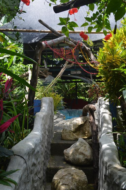 Lookout Inn Beach Rain-Forest Eco Lodge Carate ภายนอก รูปภาพ