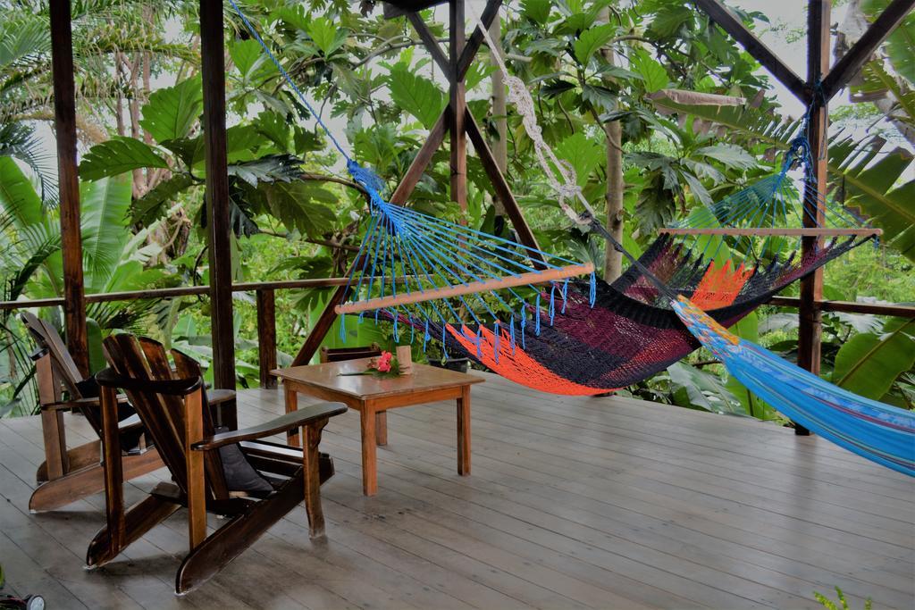 Lookout Inn Beach Rain-Forest Eco Lodge Carate ภายนอก รูปภาพ