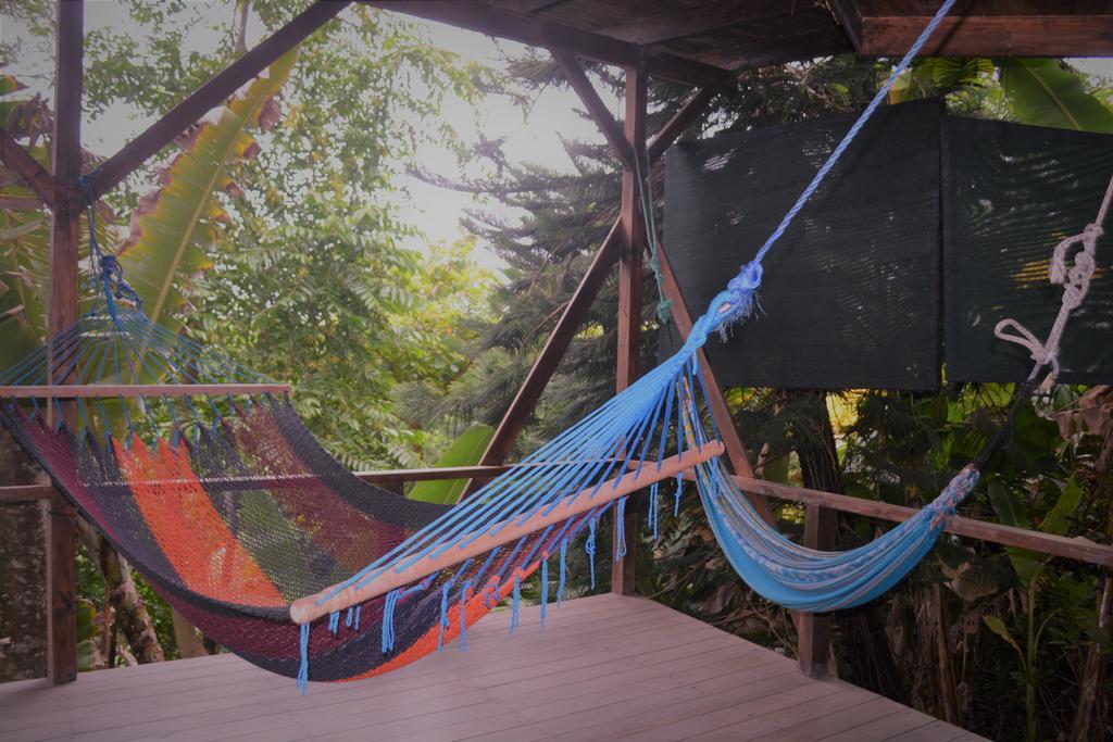 Lookout Inn Beach Rain-Forest Eco Lodge Carate ภายนอก รูปภาพ