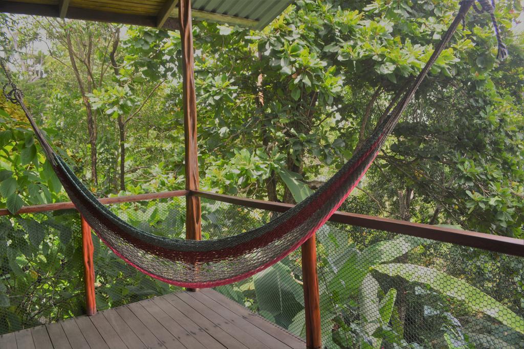 Lookout Inn Beach Rain-Forest Eco Lodge Carate ภายนอก รูปภาพ